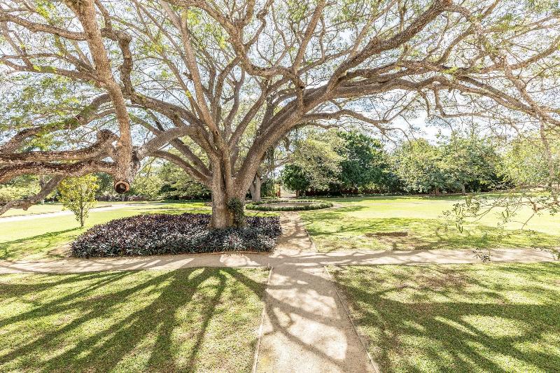 Hacienda San Antonio Millet image