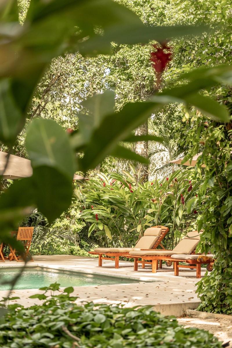 Hacienda San Antonio Millet image