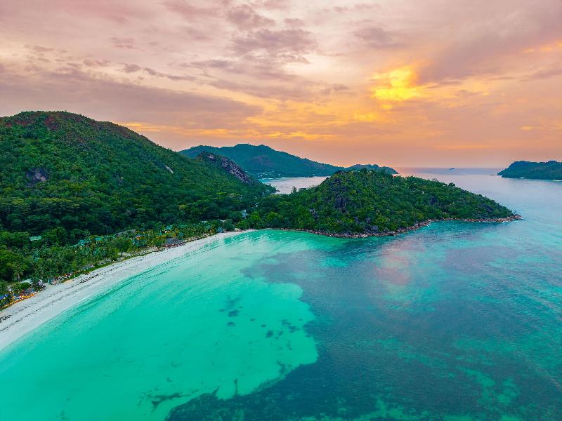Paradise Sun
