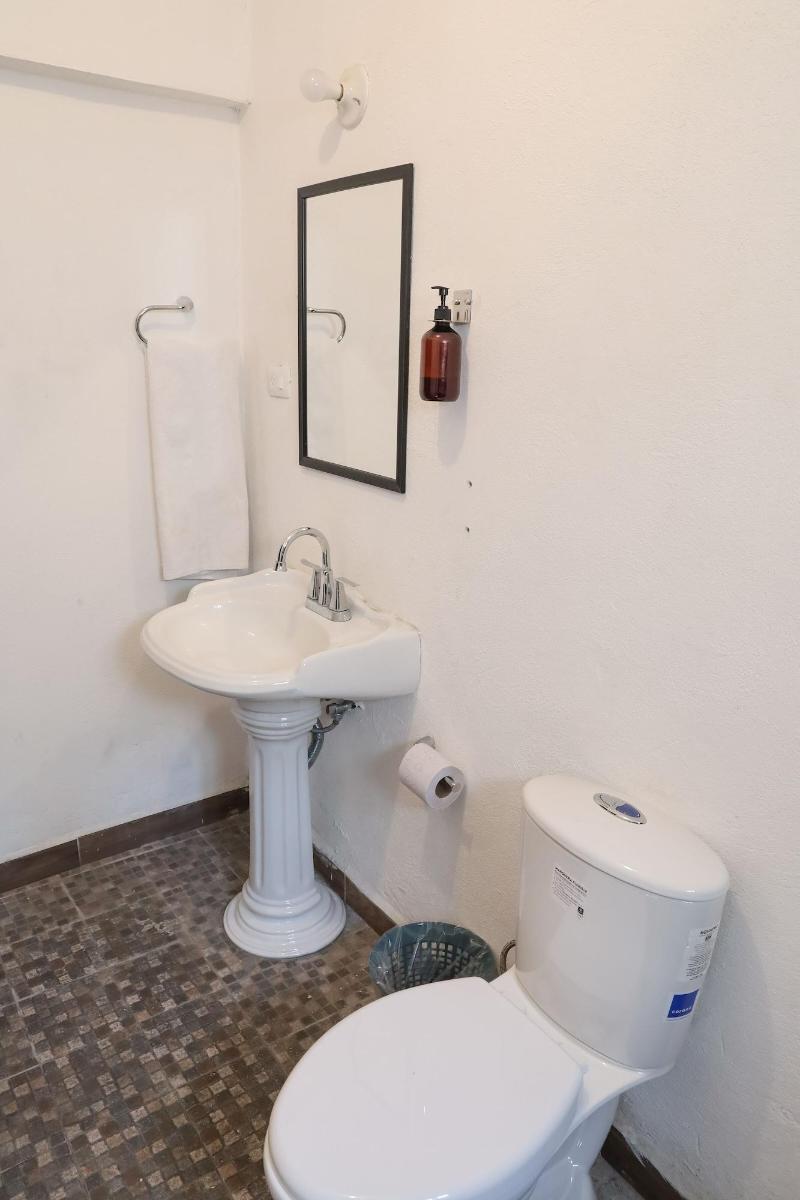 Antique Guest House Fundidora image