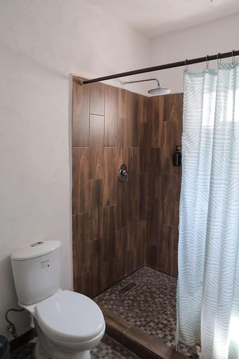 Antique Guest House Fundidora image