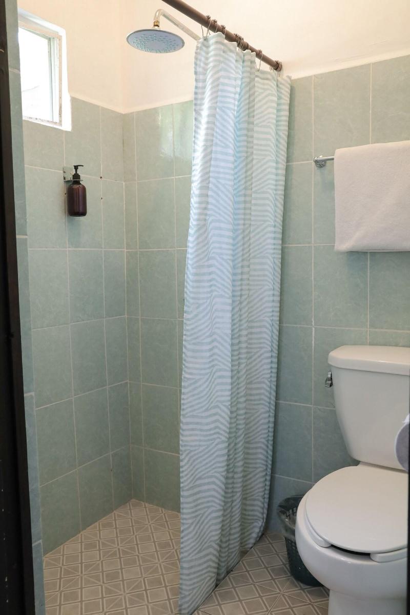 Antique Guest House Fundidora image