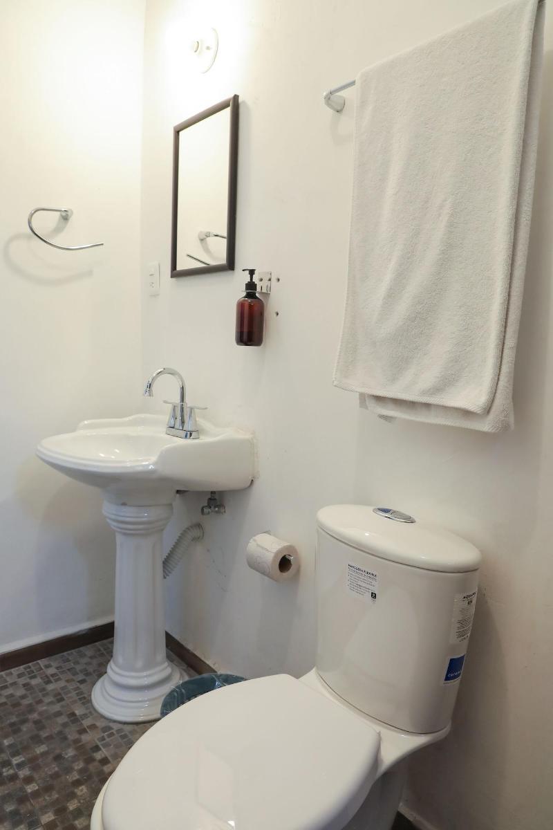 Antique Guest House Fundidora image
