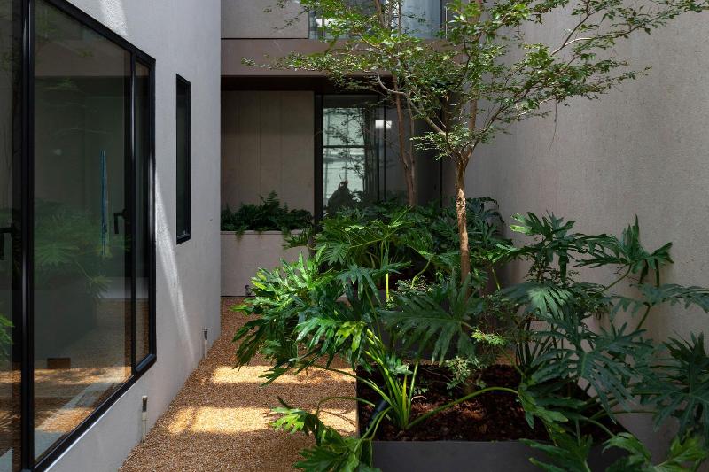 Casa Polanco Hotel Boutique image
