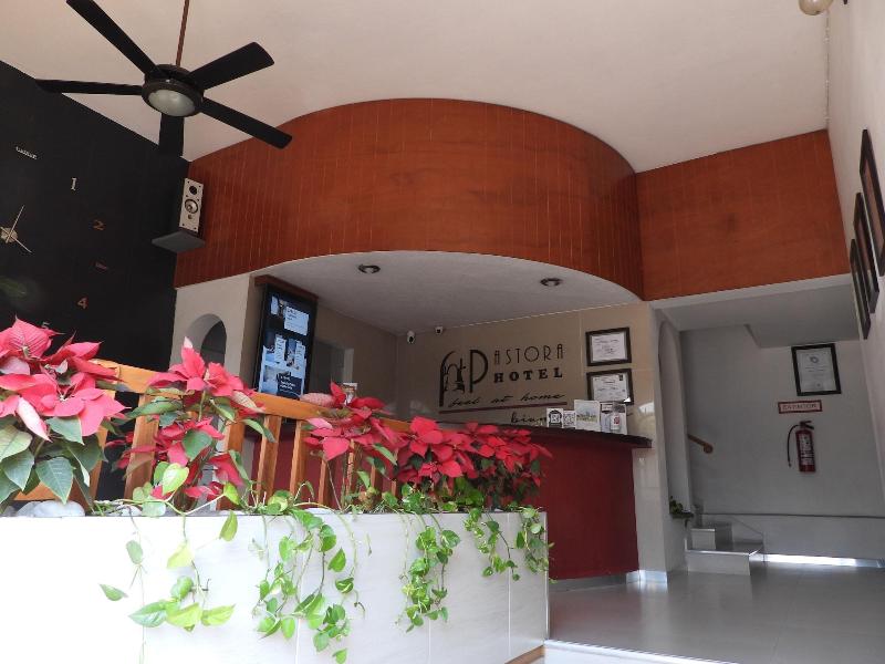 Hotel Pastora — general view