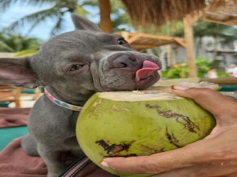 Mayan Monkey Isla Mujeres | Social Hotel image
