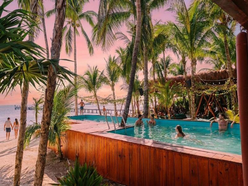Mayan Monkey Isla Mujeres | Social Hotel image