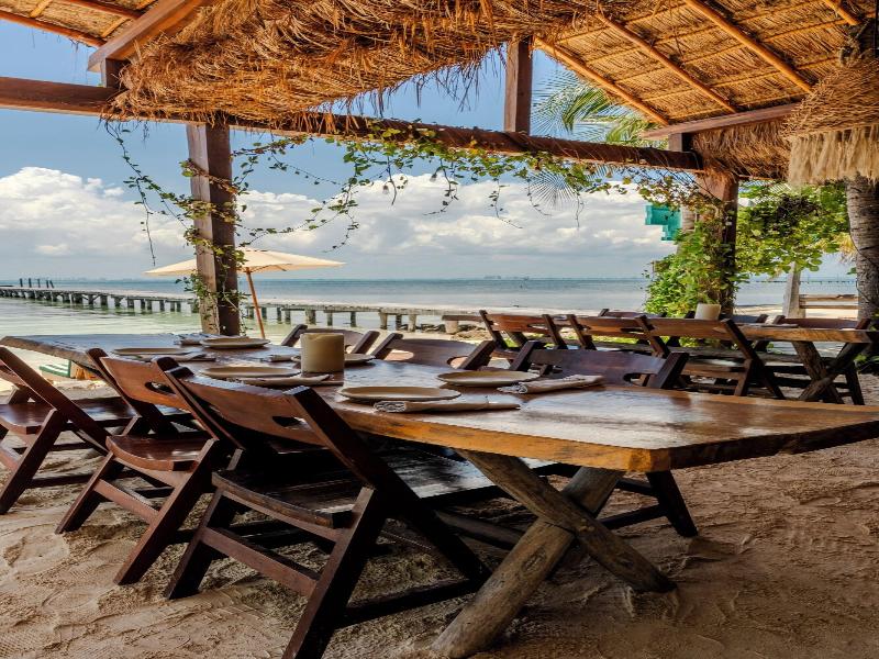Mayan Monkey Isla Mujeres | Social Hotel image