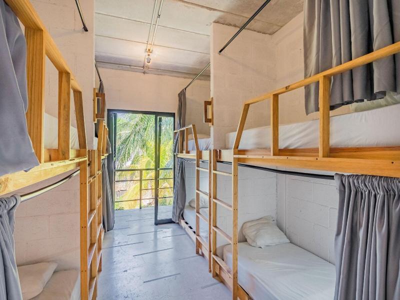 Mayan Monkey Isla Mujeres | Social Hotel image