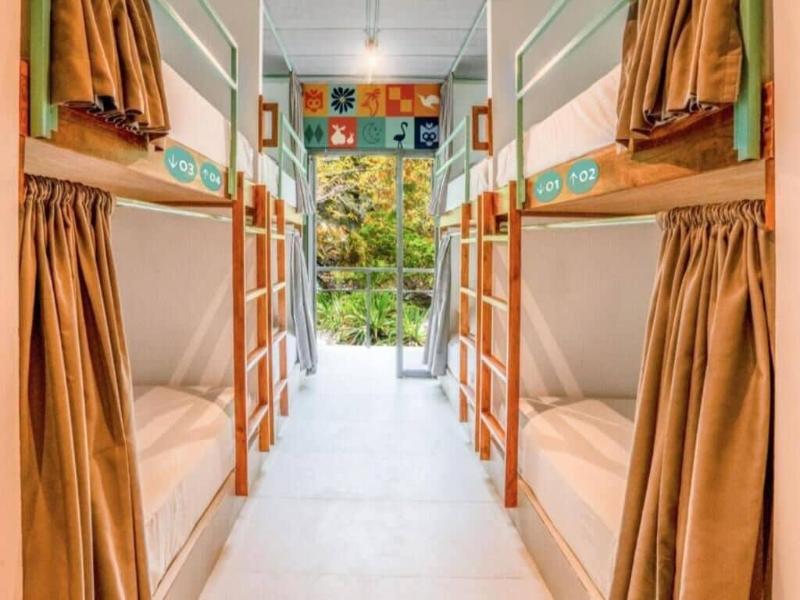 Mayan Monkey Isla Mujeres | Social Hotel image
