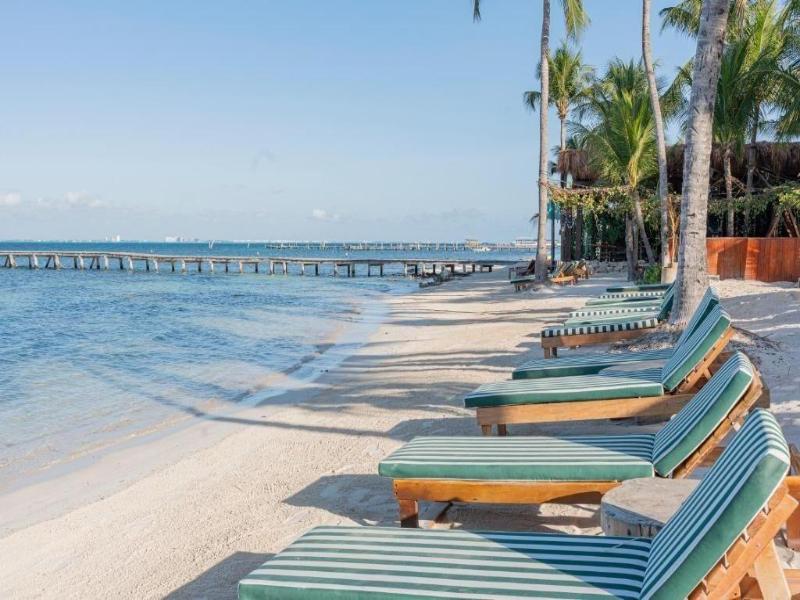 Mayan Monkey Isla Mujeres | Social Hotel image
