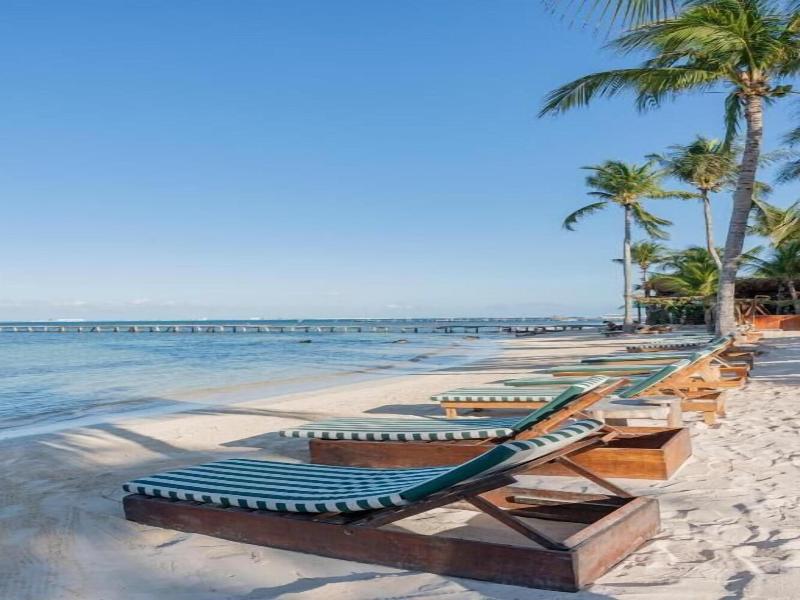 Mayan Monkey Isla Mujeres | Social Hotel image
