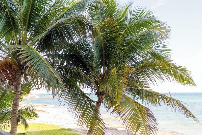 Angelina 28 Beachfront By Nah Hotels image