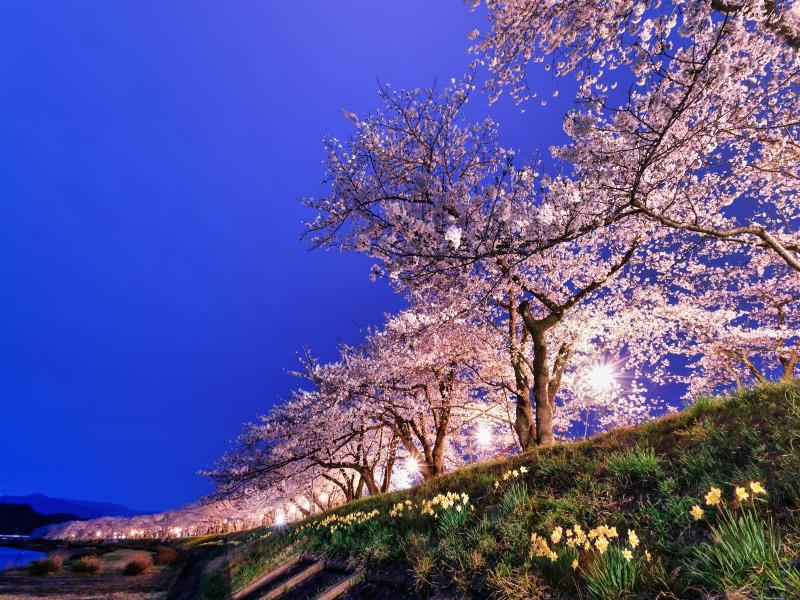 Kamenoi Hotel Tazawako image