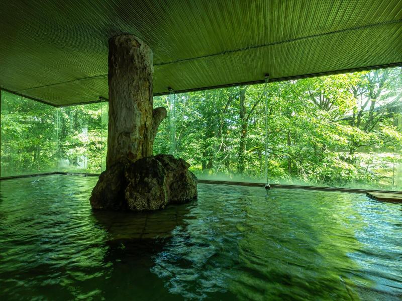 Kamenoi Hotel Tazawako image