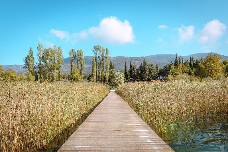 The Lake House image