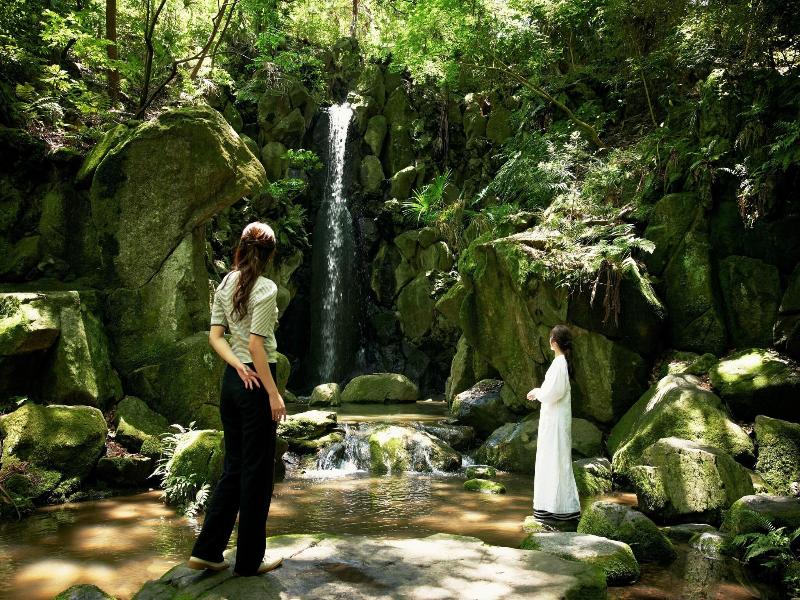 Waqoo Naritasanmonzen image