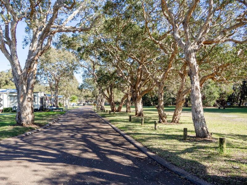 Budgewoi Holiday Park image
