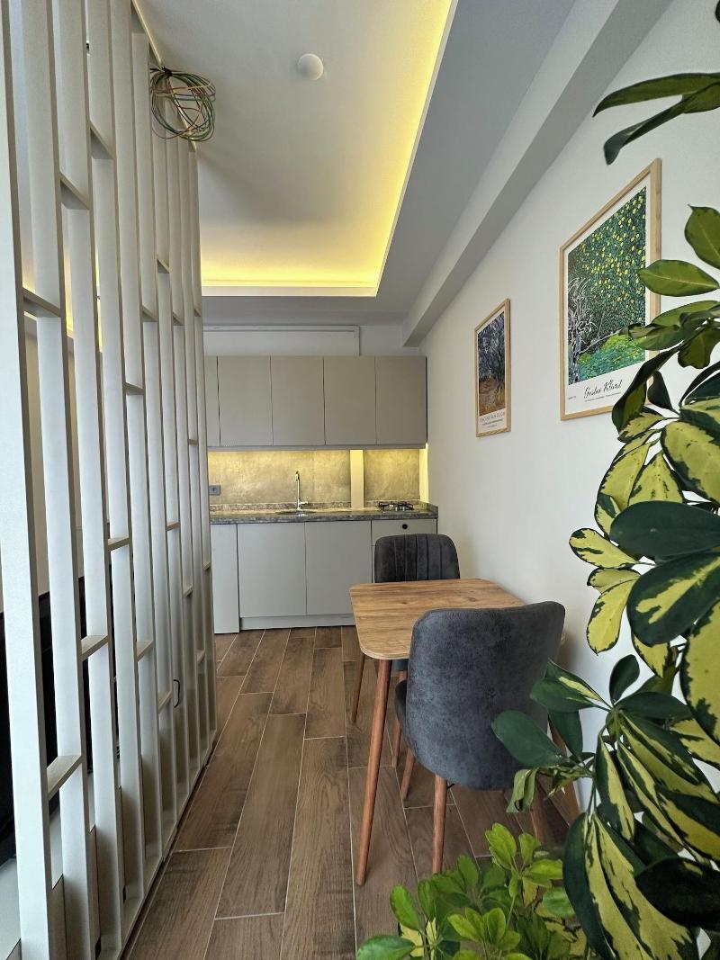 Vista Living Apartments image