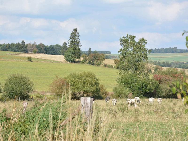 Beautiful Ardennes House In Quiet Area image