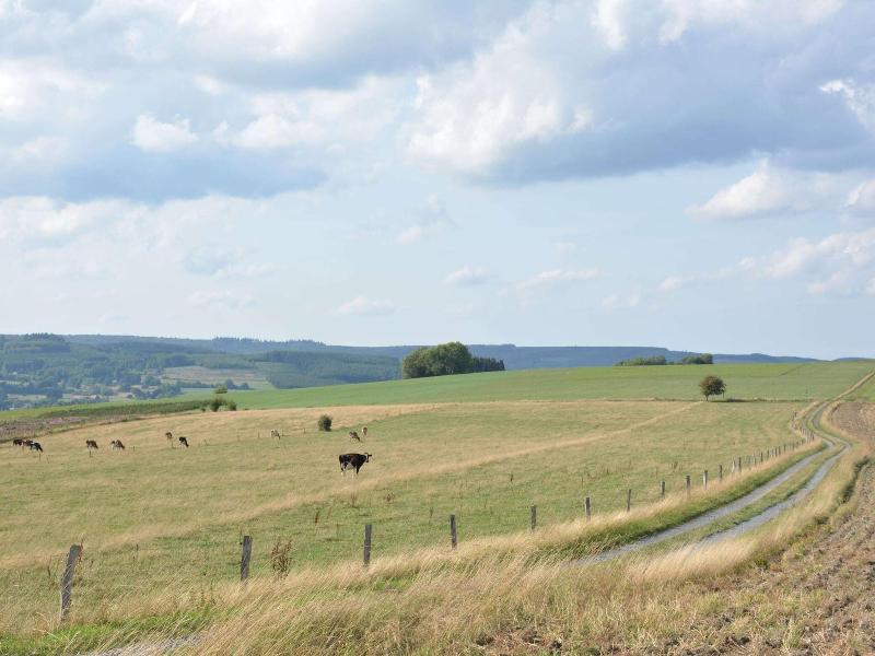 Beautiful Ardennes House In Quiet Area image