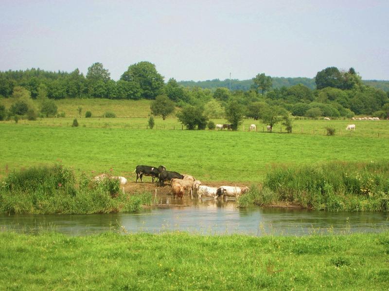 Beautiful Ardennes House In Quiet Area image