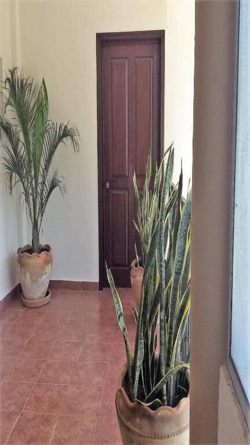 La Vivienda Villa image