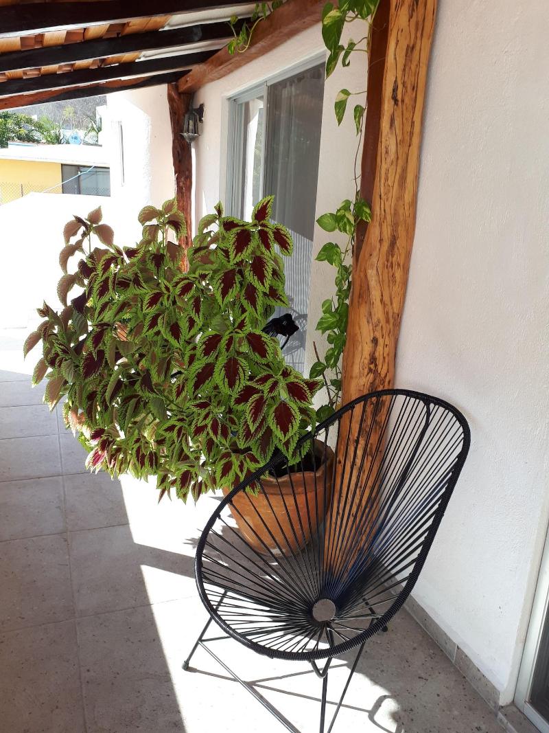 La Vivienda Villa image
