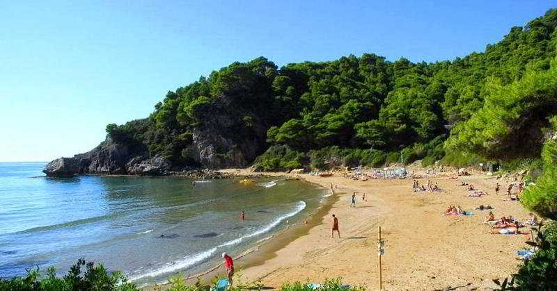 Ambiente Palace