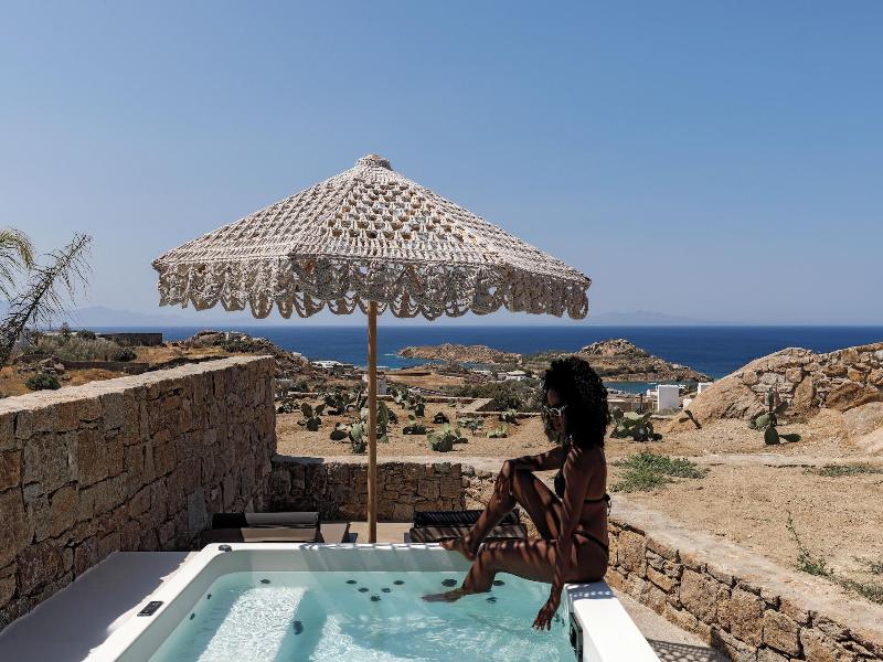 Maximus Mykonos image