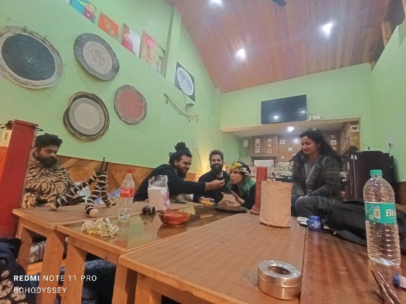 Bohodyssey Hallan image