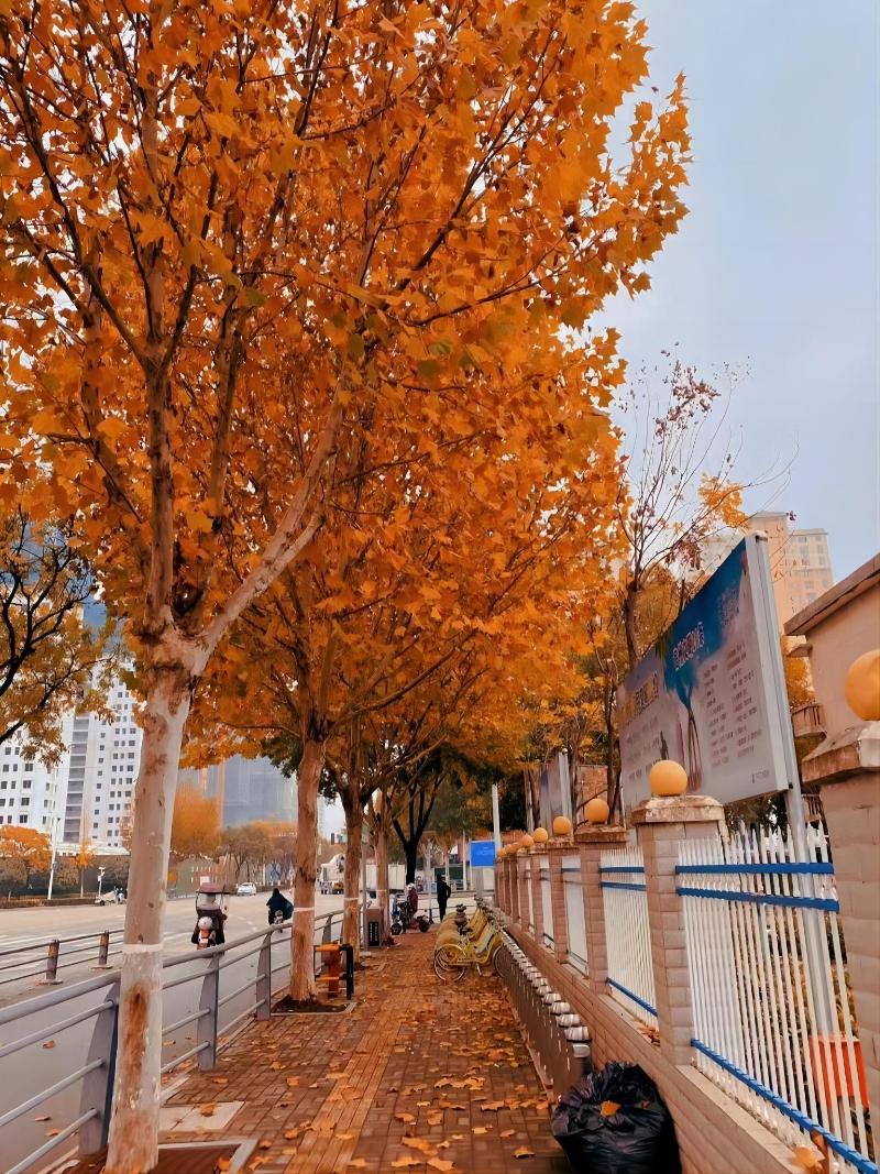 Grand Madison Hotel Suzhou Huanyu image