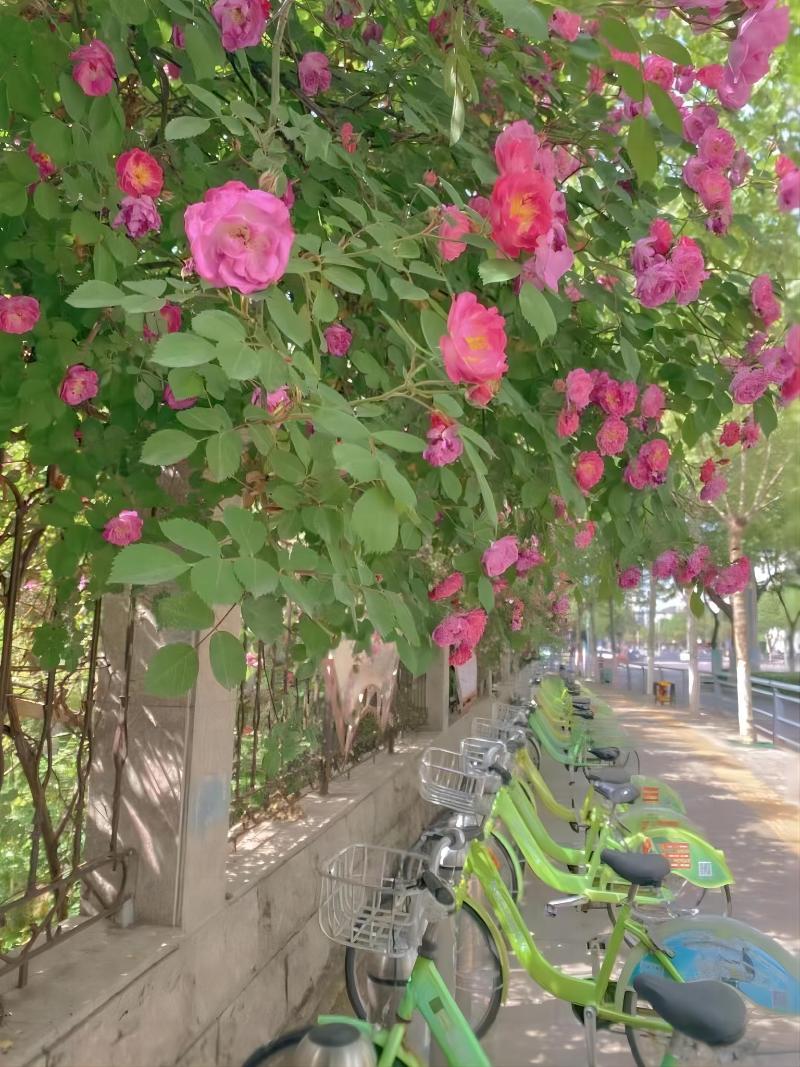Grand Madison Hotel Suzhou Huanyu image