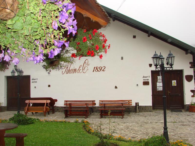 Pensiunea Rhein image