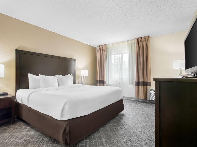 Comfort Inn Detroit Downtown image