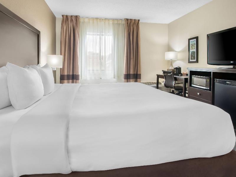 Comfort Inn Detroit Downtown image