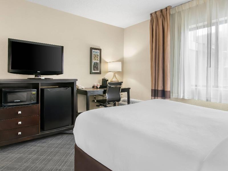 Comfort Inn Detroit Downtown image
