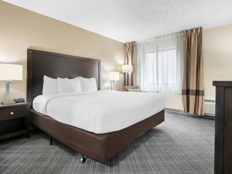 Comfort Inn Detroit Downtown image