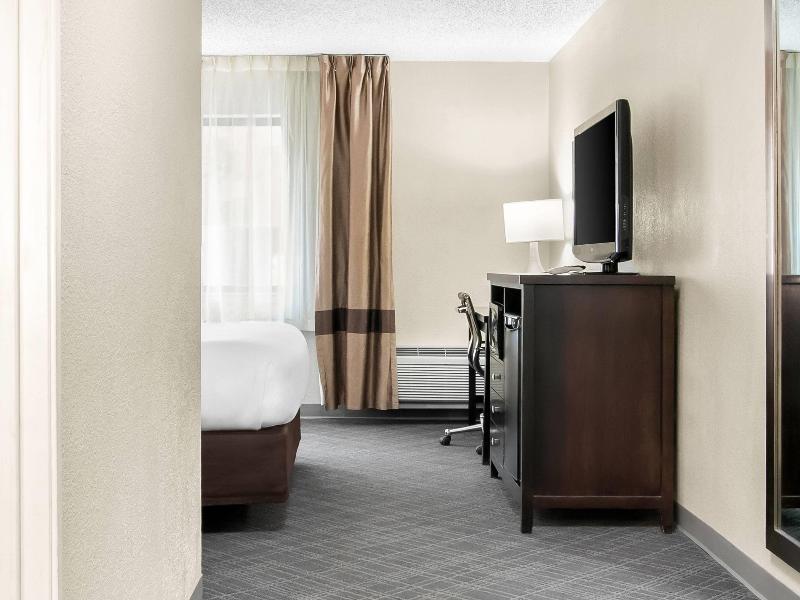 Comfort Inn Detroit Downtown image