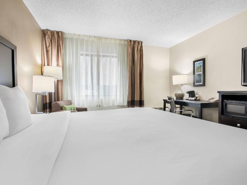 Comfort Inn Detroit Downtown image