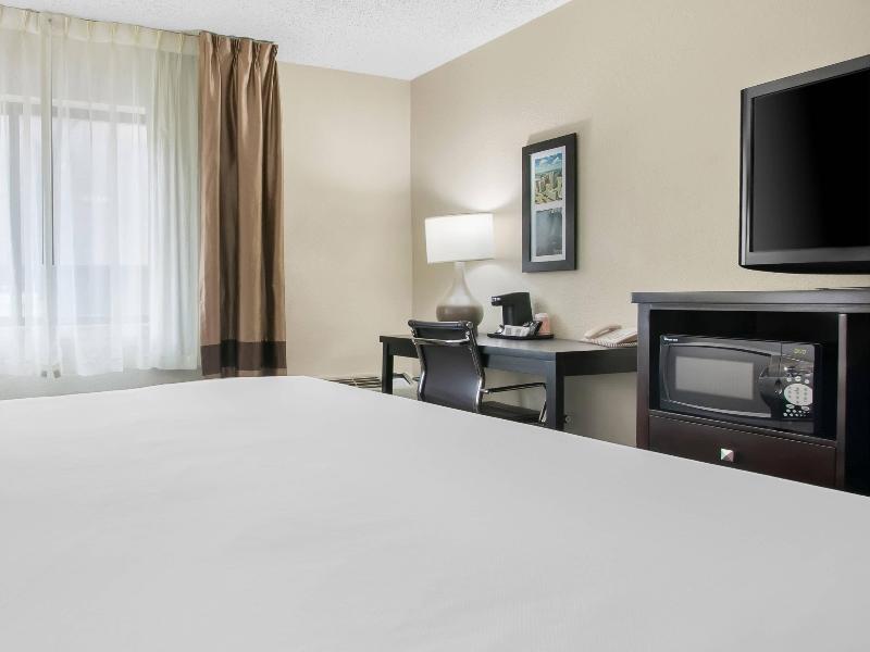 Comfort Inn Detroit Downtown image