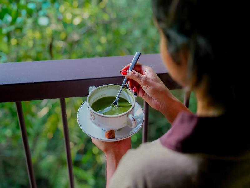 Celestia Ayurveda Resort image
