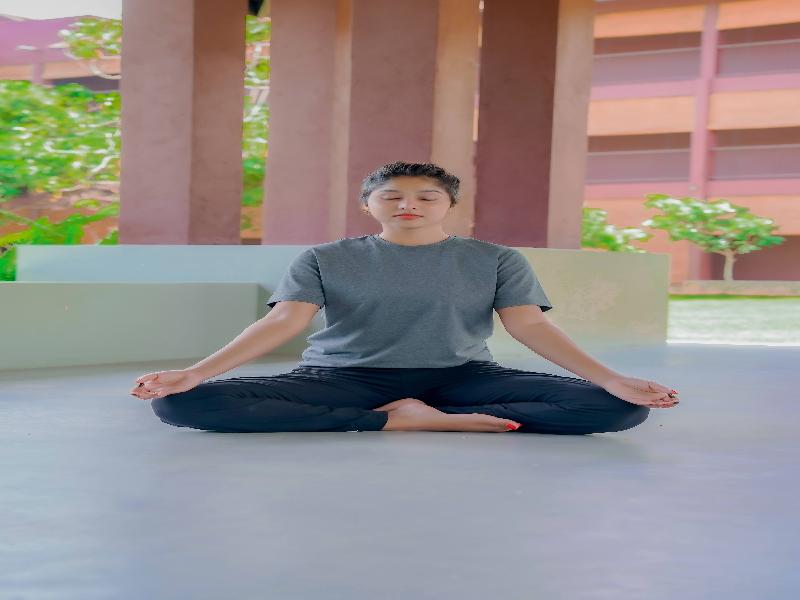 Celestia Ayurveda Resort image