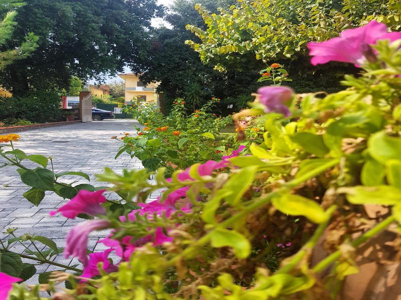 Hotel Bellonda image