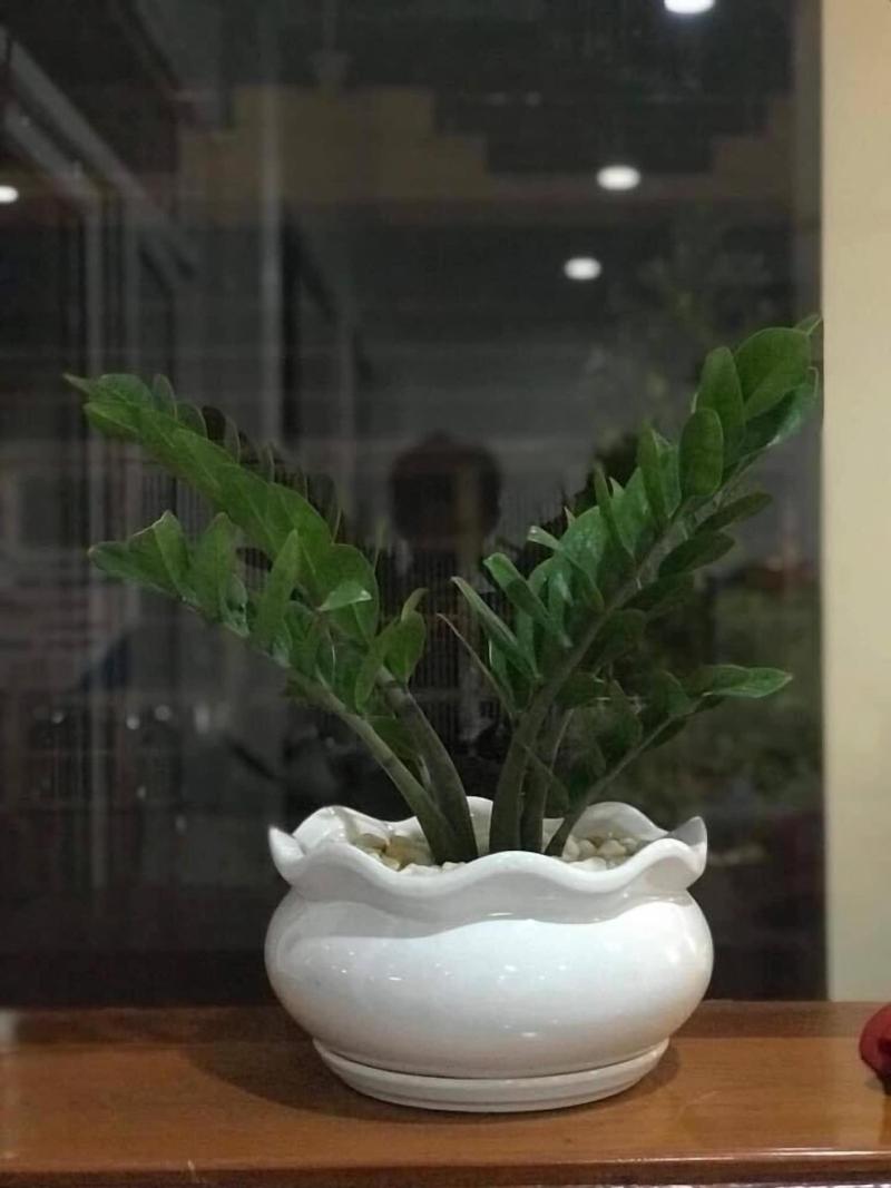 Thada Apartment image