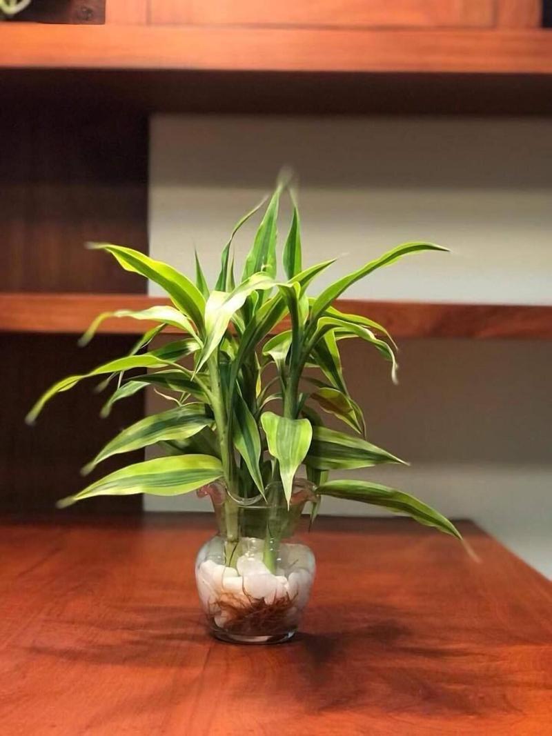 Thada Apartment image