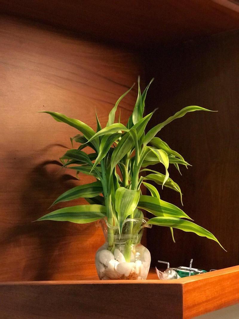 Thada Apartment image