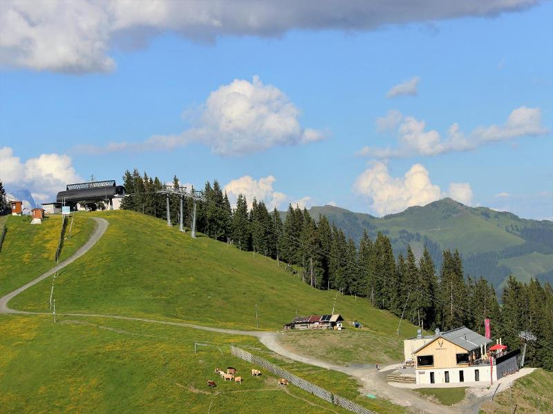 Schmiedhof Alm image