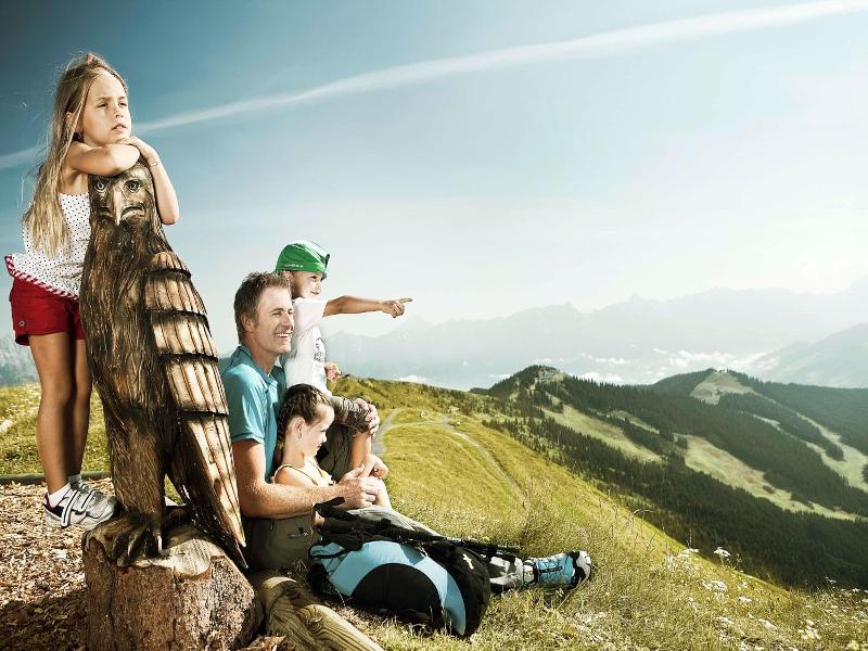 Schmiedhof Alm image