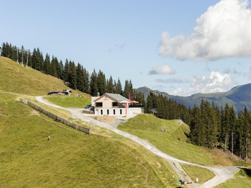 Schmiedhof Alm image